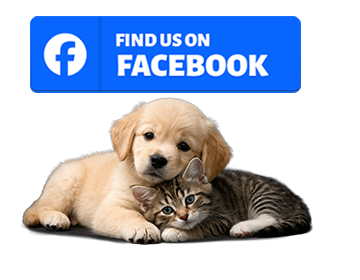 fb